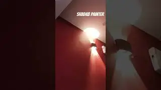 Painter Shadab Do contact for work  #funny #comedy #painting #paintings #painter #shorts #short
