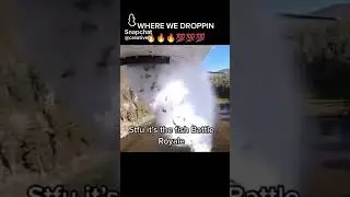 Fish battle royale