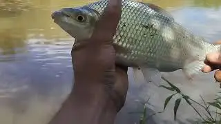 Um belo dia pra fazer a melhor pescaria do ano!!!