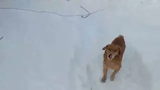 Жизнь на пенсии 🤗/Пеку блины, сходила в магазин/
