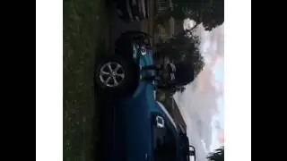 Panda doing backflips