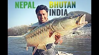 Cracking the code! Golden Mahseer Fly Fishing with Misty Dhillon