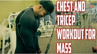 Chest And Tricep Workout For MAXIMUM GAINS | Living Proof Fitness ✔