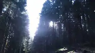 The Taunus Mountains - October 2022