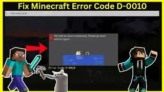 Fix Minecraft Error Code D-0010