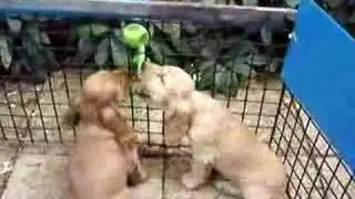 don't take my place