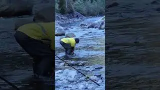 It is not easy to return the salmon caught by fishing to the river. I ❤️ salmon fishing Canada 🇨🇦 #9