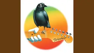 Turn on Your Lovelight (Live at Bickershaw Festival, Wigan, England 5/7/1972)