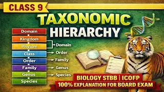 Taxonomic Hierarchy in Biology | Class 9 | Easy Explanation