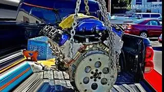 The life and D.e.a.t.h of Sonic Camaro
