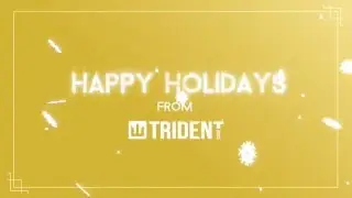 Happy Holidays from Trident Case