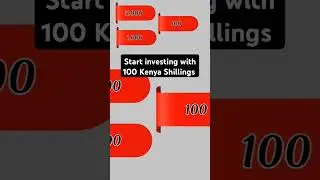 100 Ksh Investment| Start your investment journey with just 100 bob| Kenyans