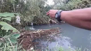 sensasi strike melem kali/sungai,mantap poll slurr #irengsetiawan