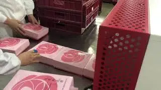 fully-auto vertical L bar sealer and shrink packaging machine for food industry
