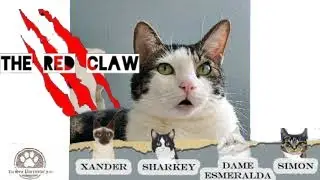 Purrseidon the cat reading 'The Red Claw' chapter 10