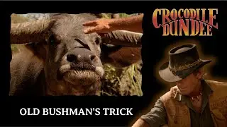 Old Bushman's Trick - Crocodile Dundee