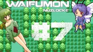 Waifumon | Nuzlocke | No pokecentre |  (Part 7)