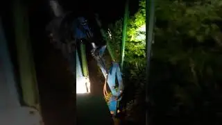 podadeira de laranja