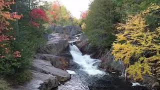 Hermoso Sonido de Agua y Pajaros🐦💦 Sonidos Relajantes🎵💤 Lleva la Naturaleza adondequiera que vayas🌻
