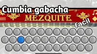 Cumbia Gabacha | tutorial F&aacute;cil Acorde&oacute;n Mezquite app📱