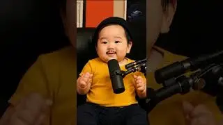 Are These The TOP 5 Baby Shorts For Summer 2025 ?