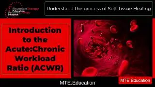 Introduction to the Acute Chronic Workload