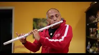 Baahon Mein Chale Aao (Aerophone Brisa Cover -- Flute)