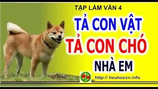 Tập làm văn 4 Tuần 33  trang 149  Tả  con vật Kiểm tra viết Tả con chó