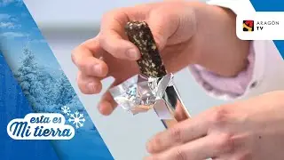 Insectos, la nueva fuente de proteínas