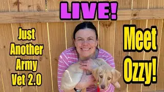 Meet Ozzy! Just Another Army Vet 2.0 is live!