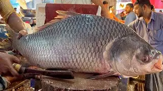 Great Fish Cutting Skills | Amazing All Fish Cutting Skills | Skinning Skills In VIP Fish Market .