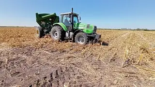 trillando lo poco que hay del maiz afectado por la sequía