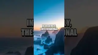 The Giant's Causeway: Nature's Hexagonal Wonder