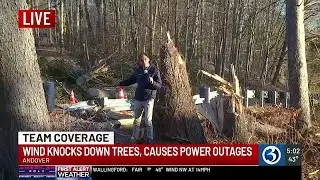 Crews clean up downed trees and power lines across the state