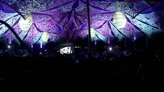 Massive Moloko Live @ O.Z.O.R.A. Festival 2019 / Pumpui Stage (snippet)