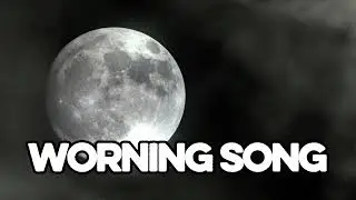 Dushman Khatam! 🔥 Best Attitude Status Video 2026 | Warning Song