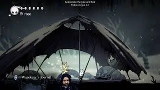 First time playing Hollow Knight on Linux [7]