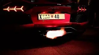 Gulf Car Festival 2017