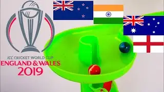 Marble Race: Cricket World Cup Final Four Bracket | According to Marbles