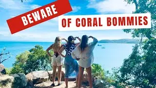 Beware of Coral Bommies!