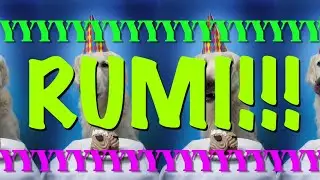 HAPPY BIRTHDAY RUMI! - EPIC Happy Birthday Song
