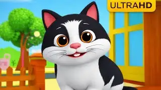 Meow Meow Billi Kerti  | म्याऊँ म्याऊँ बिल्ली करती म्याऊँ | Cute Cat Hindi Rhyme | BHALU DADA Rhymes