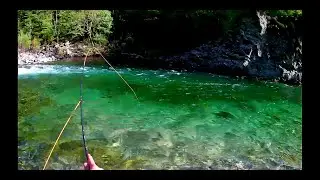 Pesca a MOSCA in TORRENTE**VAIRONI ALPINI in torrente