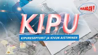 Kipu - osa el&auml;m&auml;&auml;mme: Kipureseptorit ja kivun aistiminen