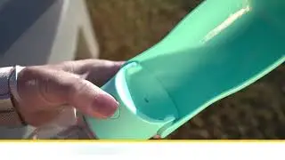 Portable Dog Water Bottle for Walks, Hikes & Travel