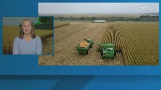 11Alive News: The Take | How farming costs impact holiday expenses (11/20/25)