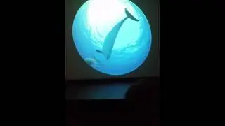 Experience the beautiful freedom of dolphins in the wild. Made for Dome theaters.
