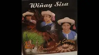 Wi&ntilde;ay Sisa 