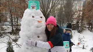 A small Snowman 