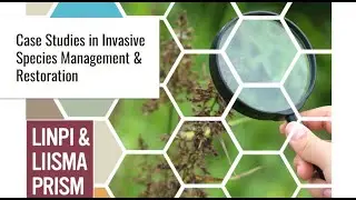 Case Studies in Invasive Species Management and Restoration